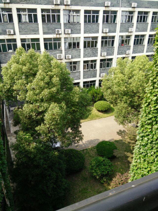 二中